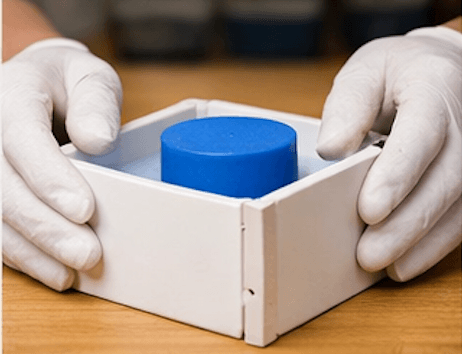 build-the-dildo-mold-box